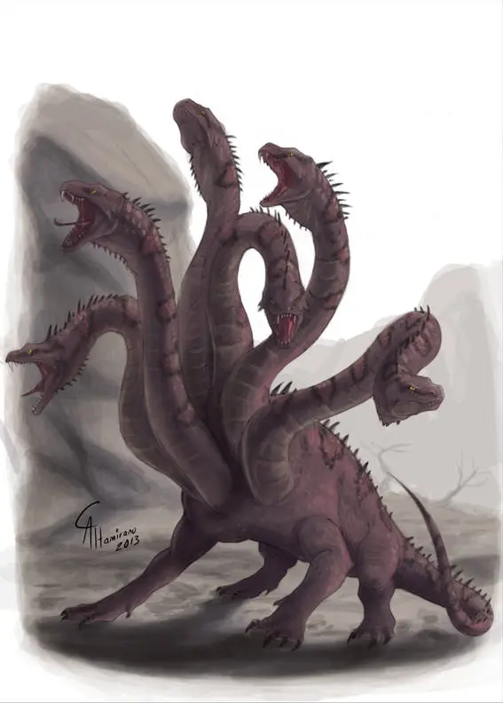 Hydra